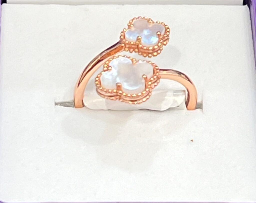 whatsapp image 2025 10 29 at 10.39.40 pm