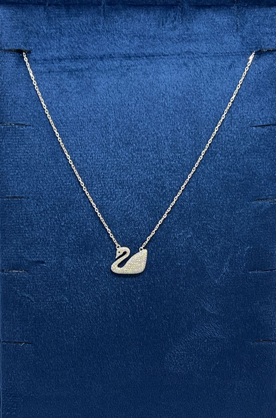 whatsapp image 2025 11 02 at 15.11.58