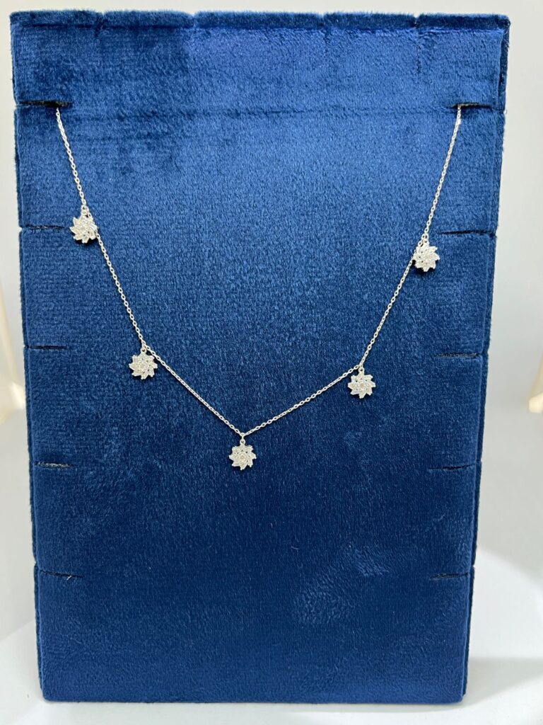 whatsapp image 2025 11 02 at 15.12.09