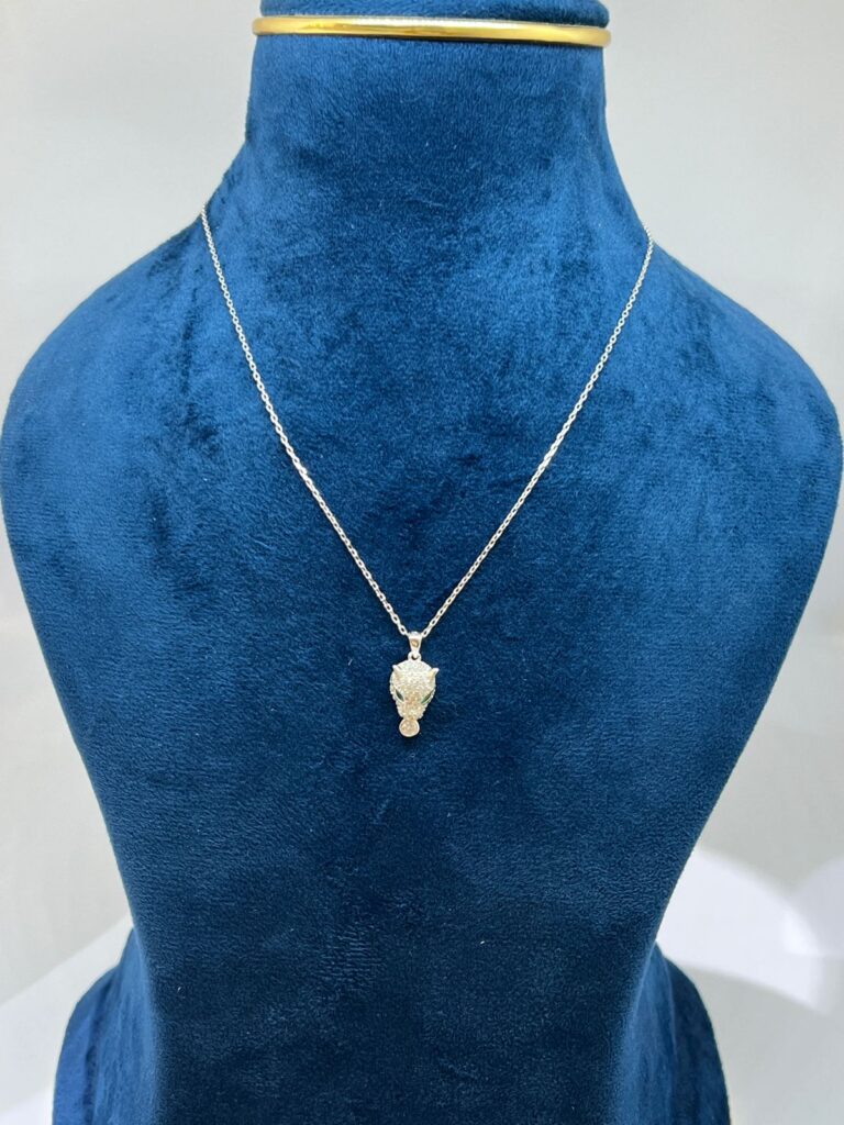 whatsapp image 2025 11 02 at 15.12.11